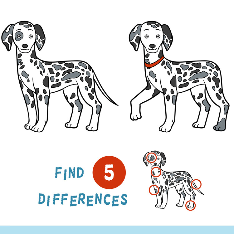 CAT to GIS Tracking Cats via GPS on Google Earth